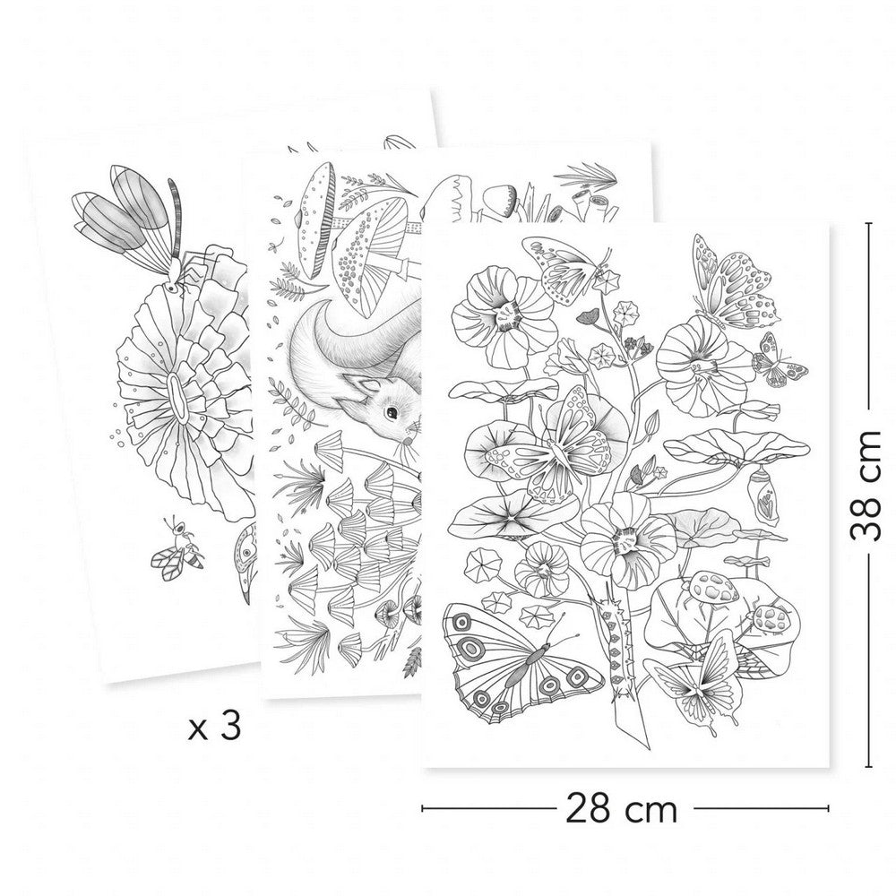 Djeco Mapa cu 3 postere de colorat Natura continut ambalaj