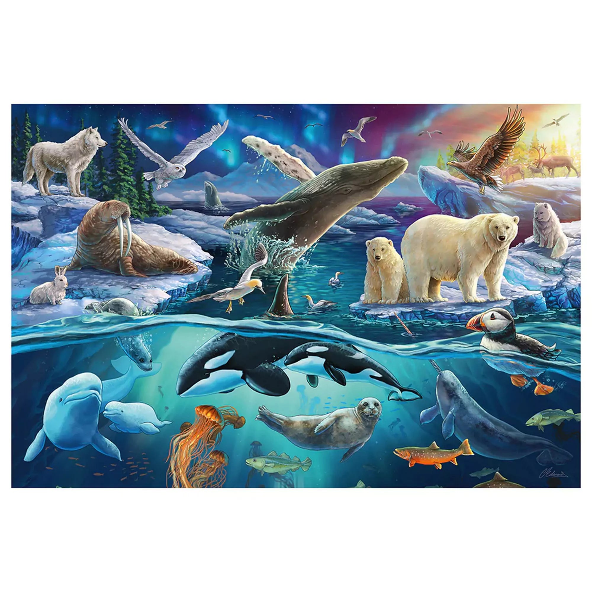Puzzle Schmidt Sarkvidéki állatok kirakó teljes képe, változatos sarkvidéki állatokkal víz felett és alatt, sarki fényes háttérrel.
