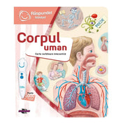 A "Răspundel Istețel Corpul uman" interaktív könyv borítója, amely játékosan tanítja meg a gyerekeknek az emberi test működését.