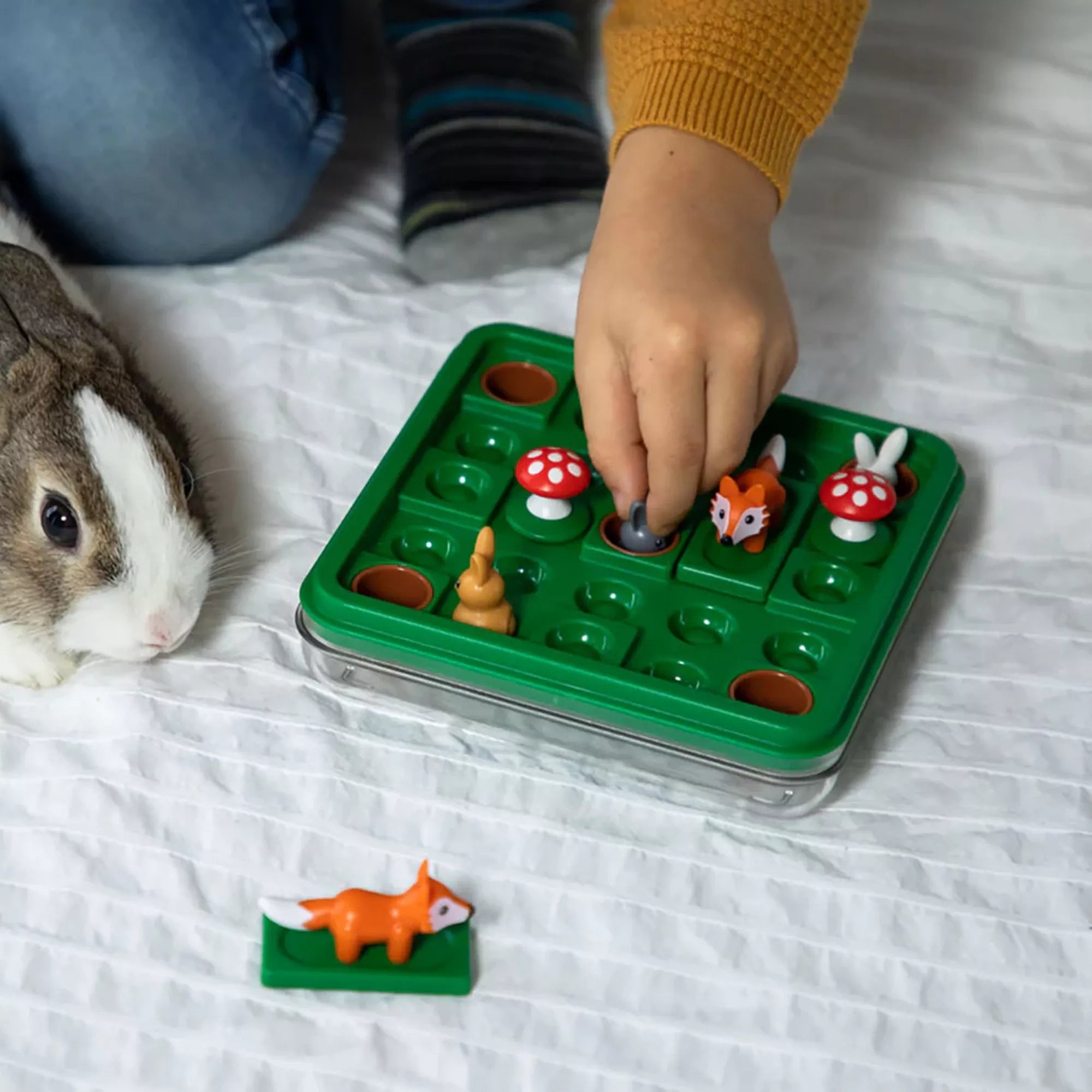 „Gyermek játssza a Jump’In játékot, nyuszikat és rókát mozgatva a zöld játéktáblán, egy valódi nyúl társaságában.”