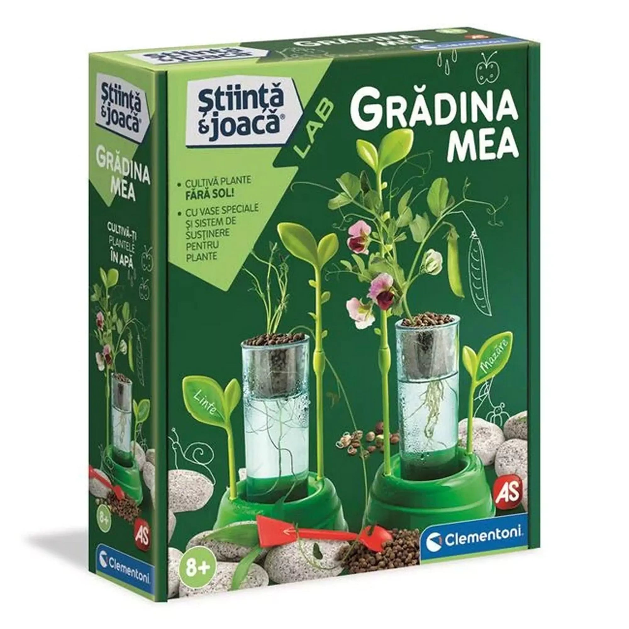  A Grădina Mea doboza, amelyen a hidroponikus növénynevelés látható átlátszó tartályokkal és virágzó borsó- és lencsenövényekkel.