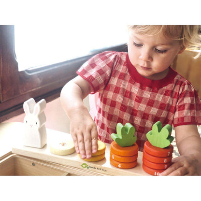 Numărătoarea morcovilor, din lemn premium - Counting Carrots - 16 piese - Tender Leaf Toys-Tender Leaf Toys-5-Jocozaur