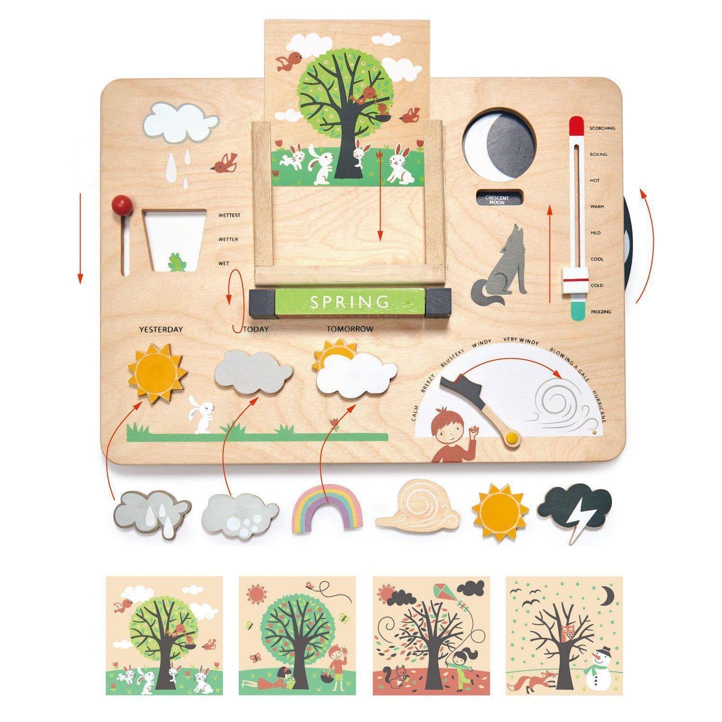 Stația meteo educativă, din lemn premium - Weather Watch - 13 piese - Tender Leaf Toys-Tender Leaf Toys-3-Jocozaur