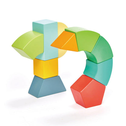 Joc de construit magnetic Primary, din lemn premum - Primary Magblocs - 10 piese - Tender Leaf Toys-Tender Leaf Toys-2-Jocozaur
