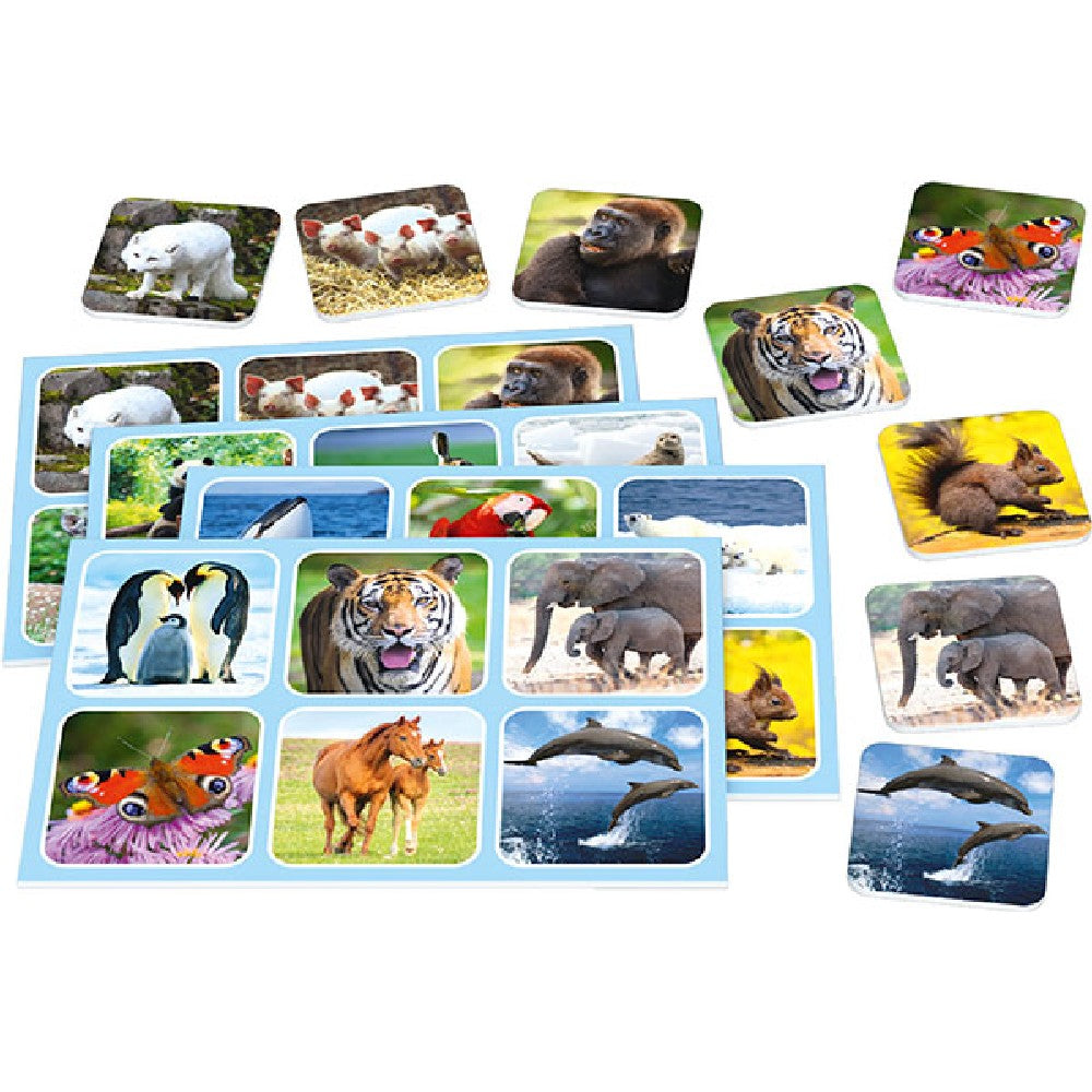 Zoolotto2.jpg