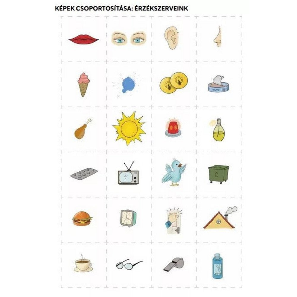 ezgif.com-gif-maker-2022-09-26T173657.899-min.jpg