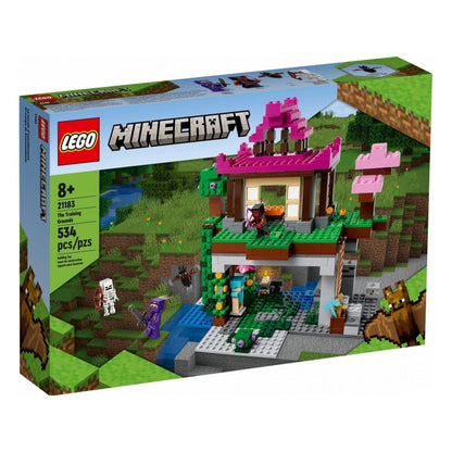 LEGO Minecraft Zona de antrenament 21183