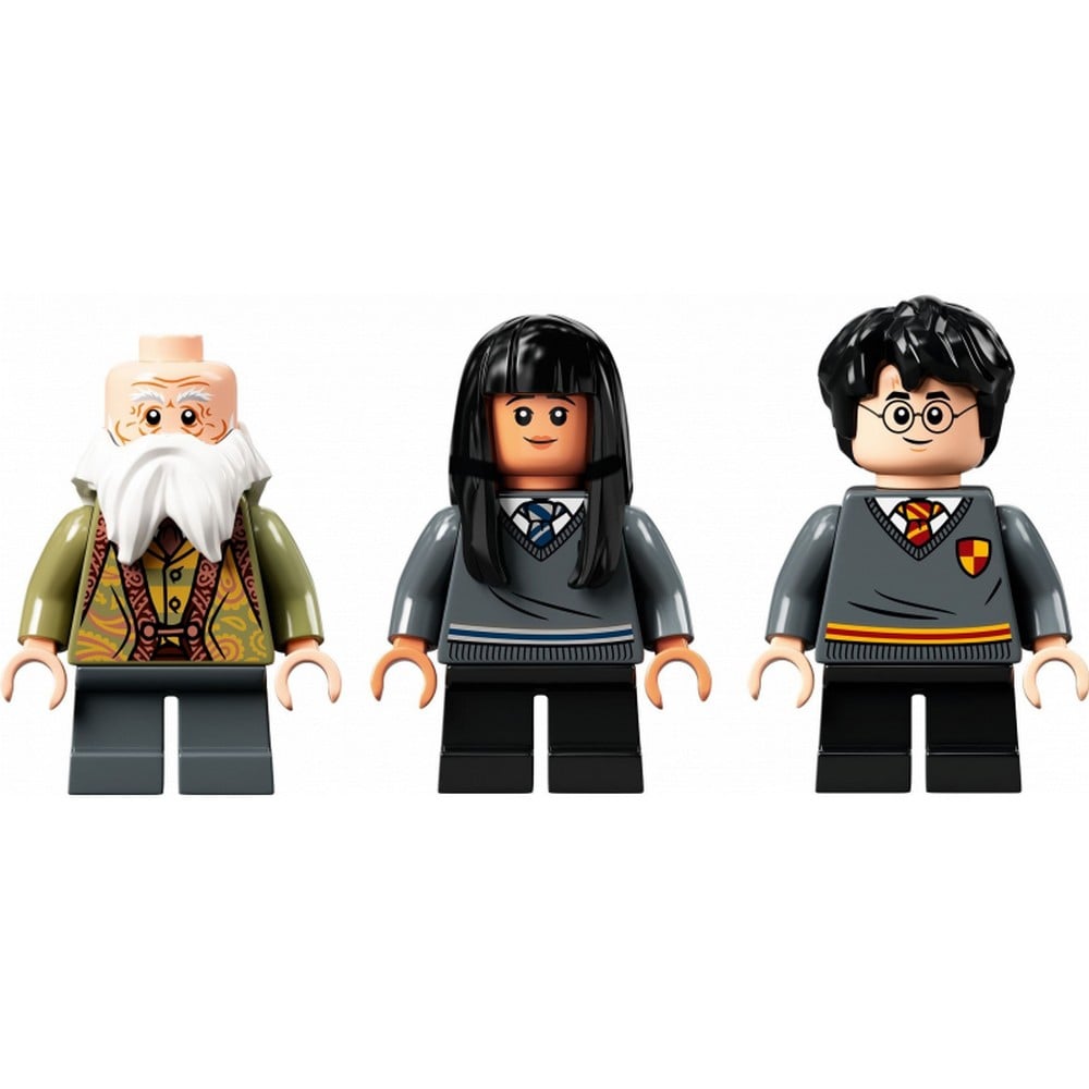 LEGO Harry Potter -  Ora de Farmece 76385, 256 piese