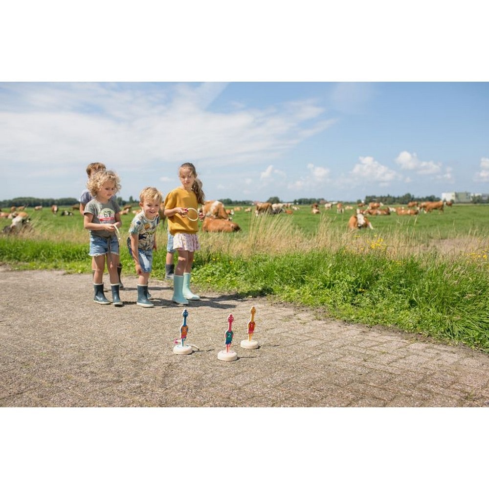 Joc de aruncat inele cu păsări, Ringtoss Birds, BS Toys