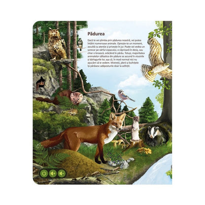 Răspundel Istețel - Set Lumea Animalelor (creion+carte)